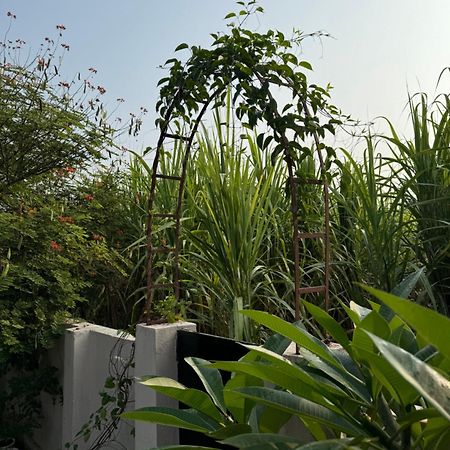 The Bougainvillea Cottage Farmstay Near Dehradun , 2 Bedroom Private Cottage Next To Fields And Orchards With Hill Views Ngoại thất bức ảnh