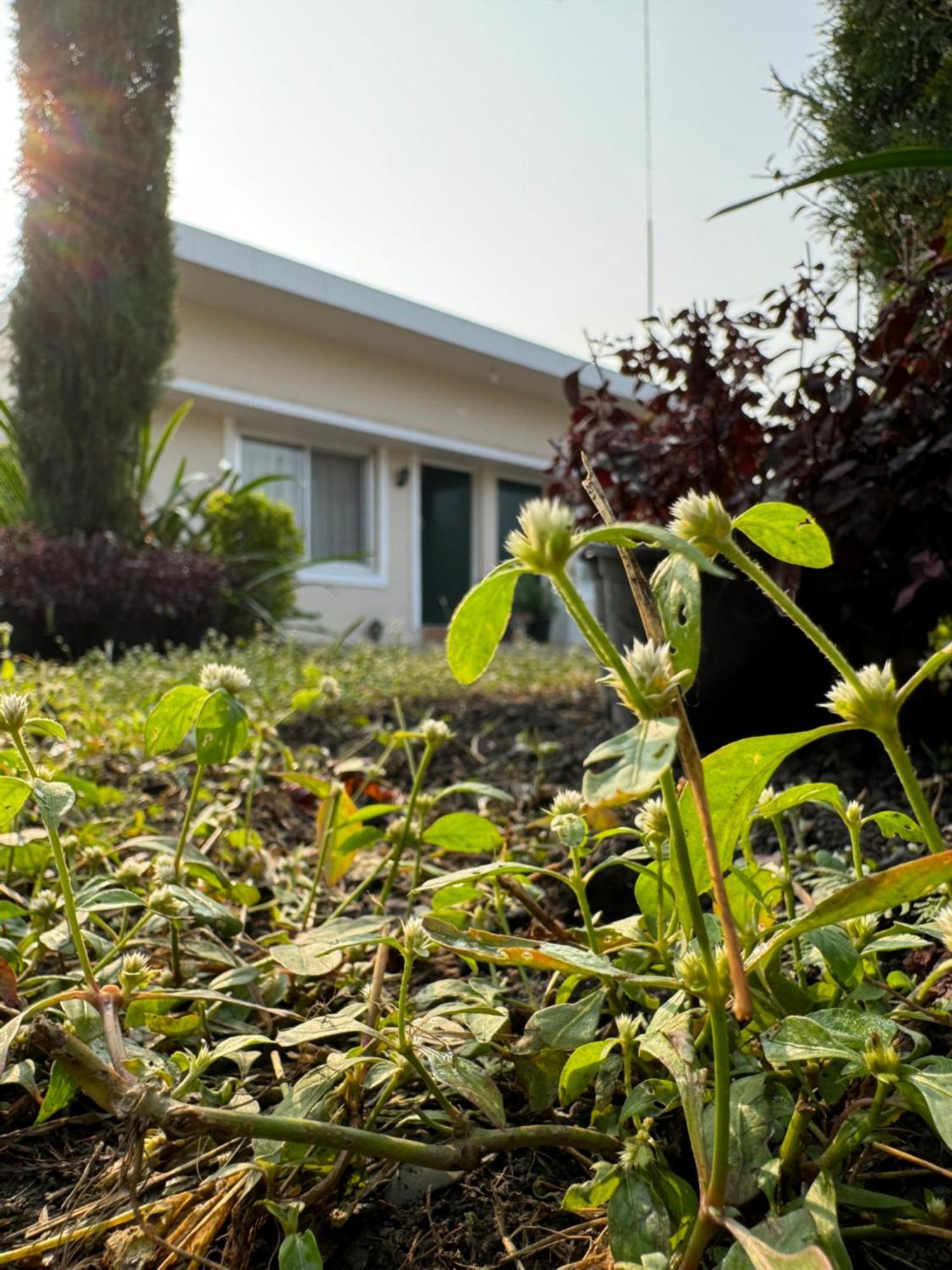 The Bougainvillea Cottage Farmstay Near Dehradun , 2 Bedroom Private Cottage Next To Fields And Orchards With Hill Views Ngoại thất bức ảnh