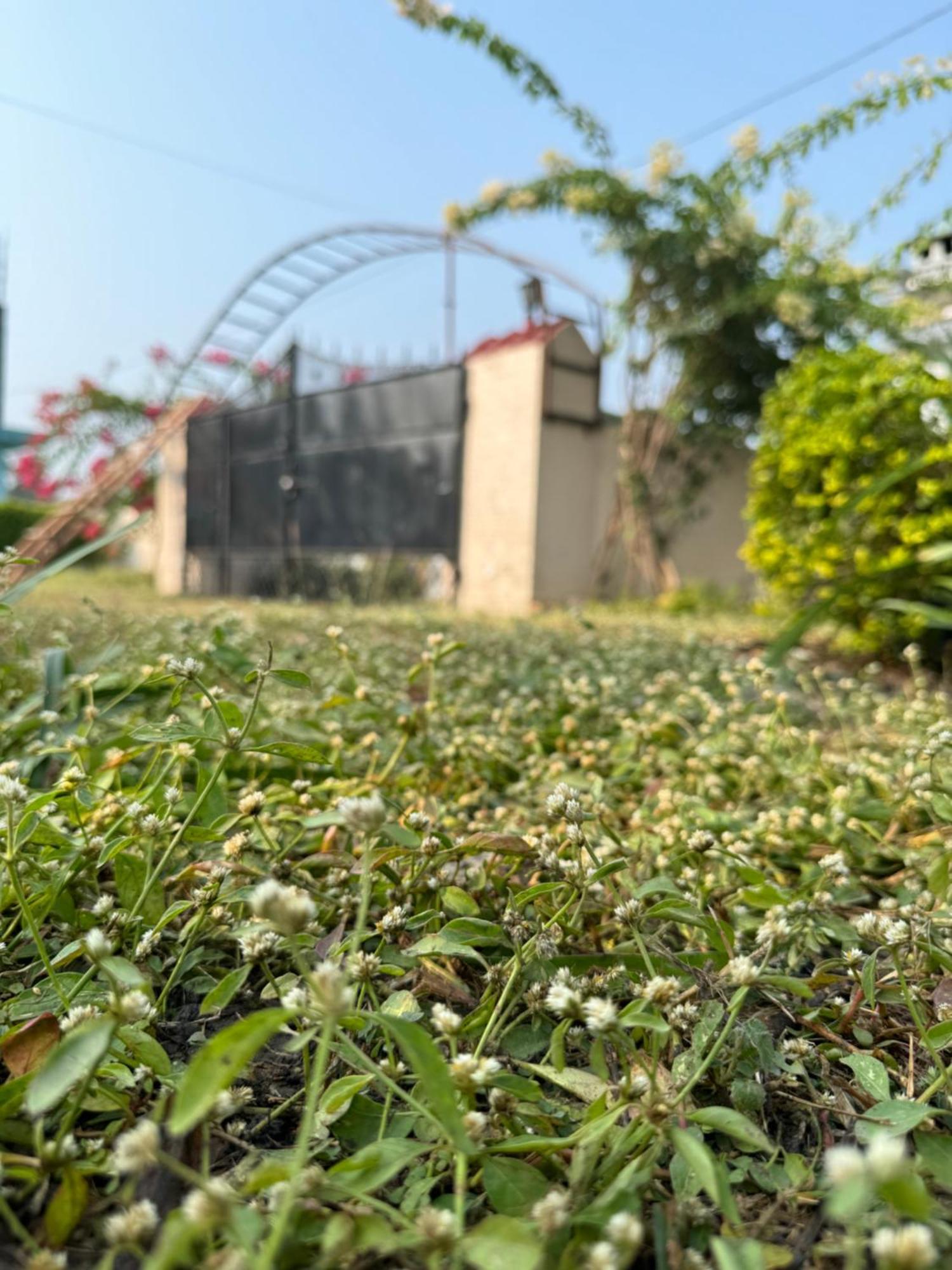 The Bougainvillea Cottage Farmstay Near Dehradun , 2 Bedroom Private Cottage Next To Fields And Orchards With Hill Views Ngoại thất bức ảnh